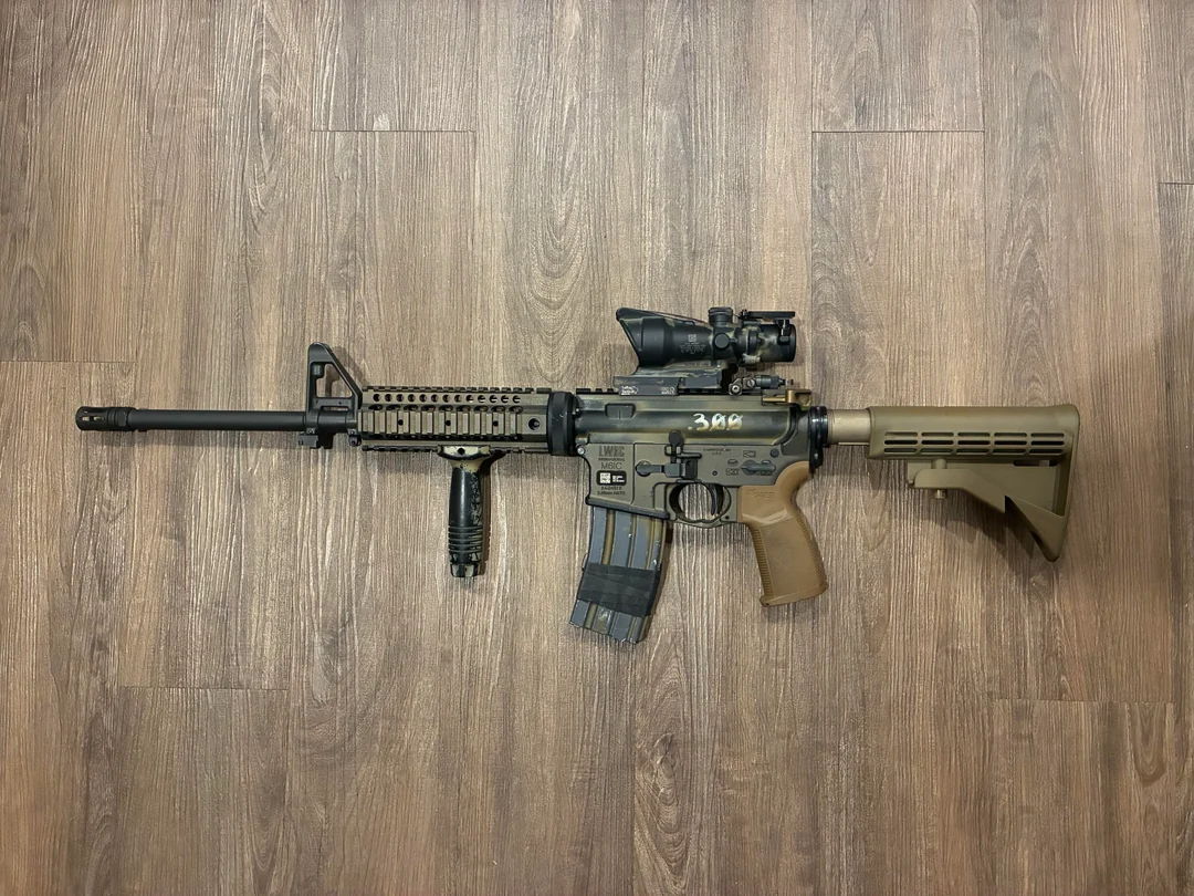 300 black out hog gun