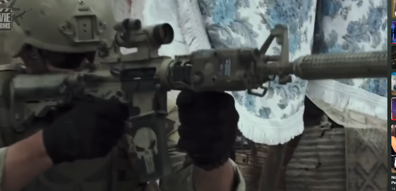 AR 15