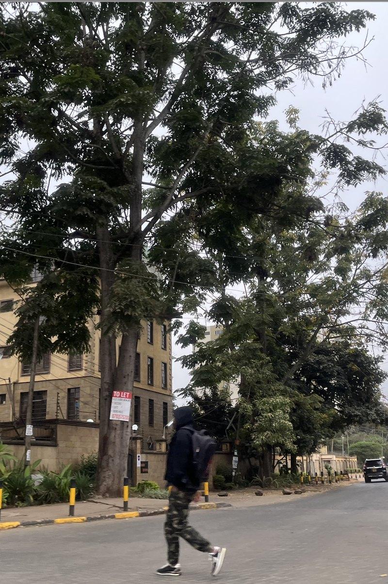 A street in Westlands, Nairobi, the district where the DusitD2 complex stands